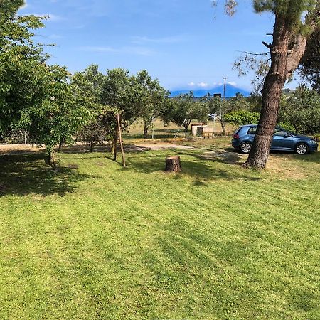 Athos View Villa By The Sea Ormos Panagias Exterior foto